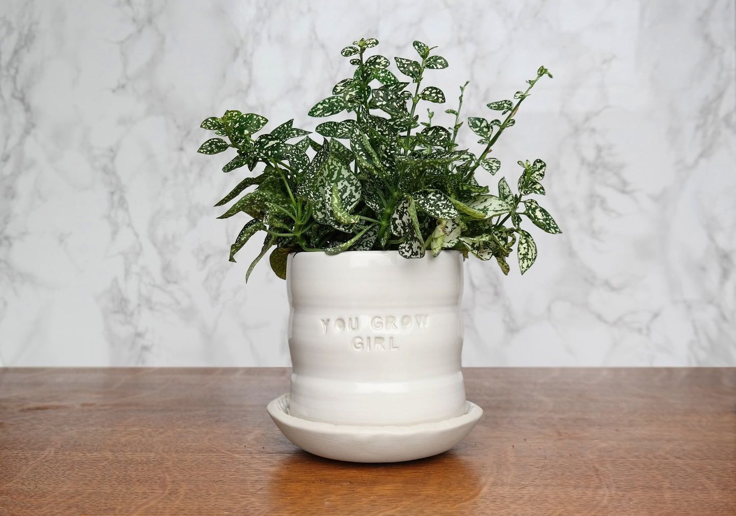 White Ceramic Planter with Saucer - "You Grow Girl" - Stuck in the Mud Pottery