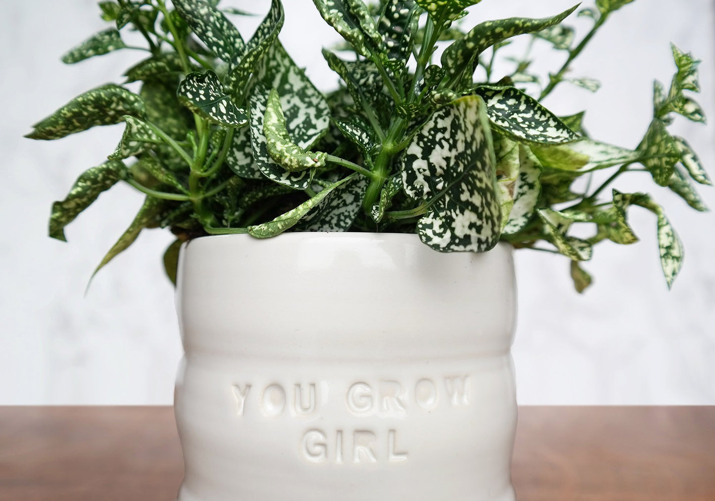 White Ceramic Planter with Saucer - "You Grow Girl" - Stuck in the Mud Pottery